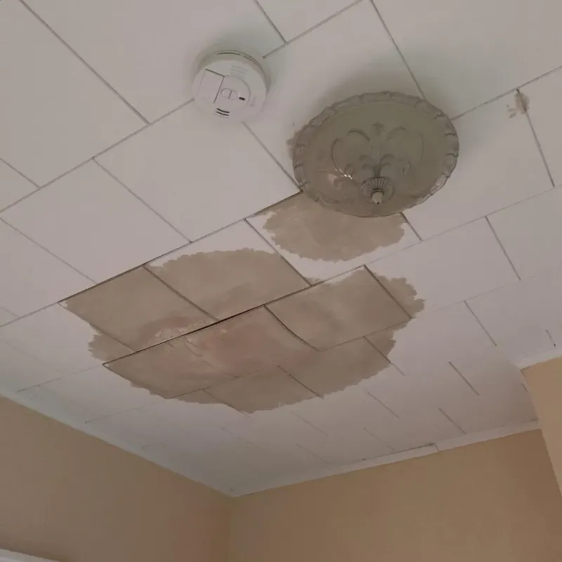 Ceiling Water Damage Repair in Meredosia, IL