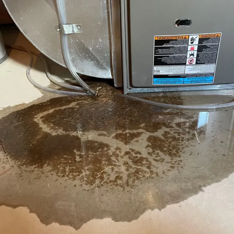 Pipe Burst and Leak Restoration in Meredosia, IL