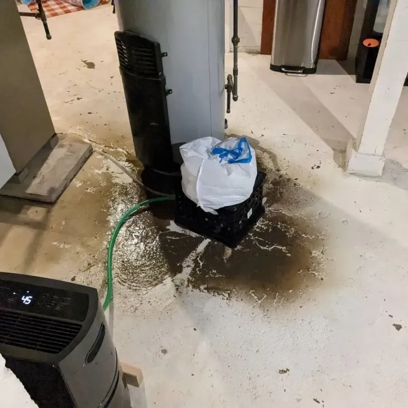 Sewage Backup Cleanup Service in Meredosia, IL